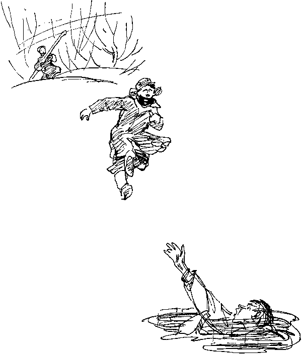 Куриловы острова p234_235.png