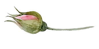 img_6.png