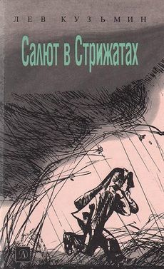 Салют в Стрижатах