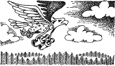 Мир лесных дебрей i_002.png
