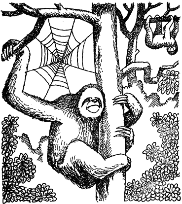 Мир лесных дебрей i_010.png