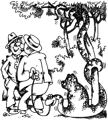 Мир лесных дебрей i_011.png