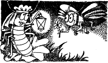 Мир лесных дебрей i_024.png