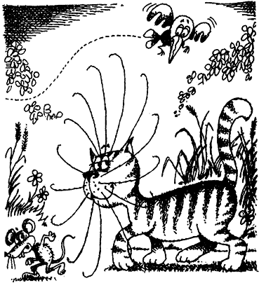 Мир лесных дебрей i_027.png