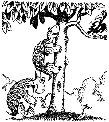 Мир лесных дебрей i_029.png