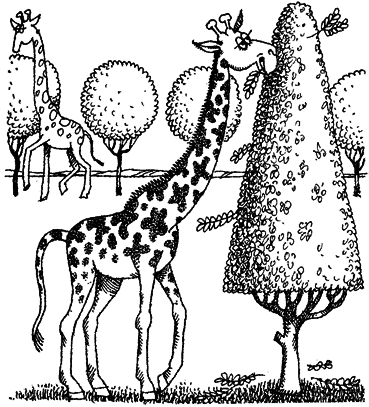 Мир лесных дебрей i_005.png