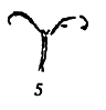 Сказки и легенды any2fbimgloader19.png