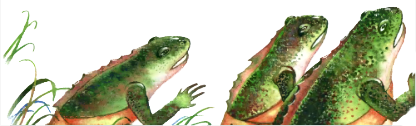 Лягушачий замок i_035.png