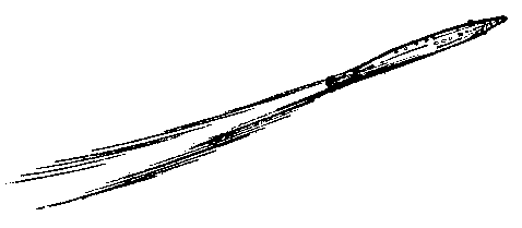220 дней на звездолете i_025.png