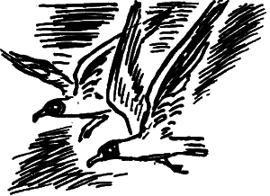 Не позже полуночи i_002.png
