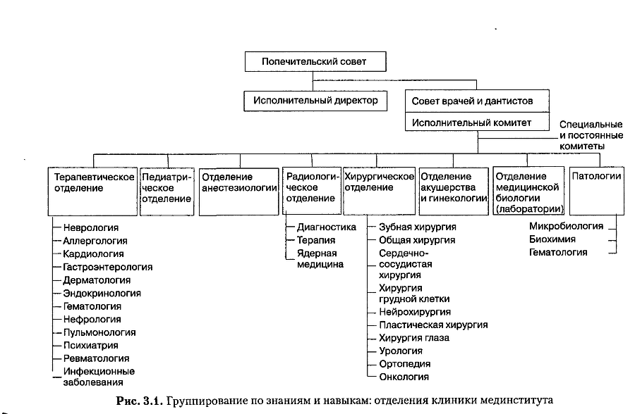 Структура в кулаке: создание эффективной организации img_54.png