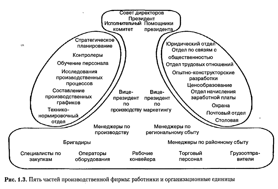 Структура в кулаке: создание эффективной организации img_51.png