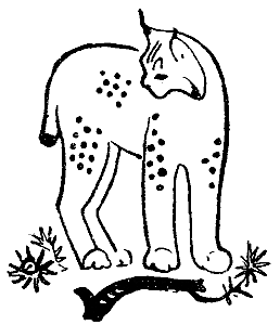 Окаменевшие волки i_003.png