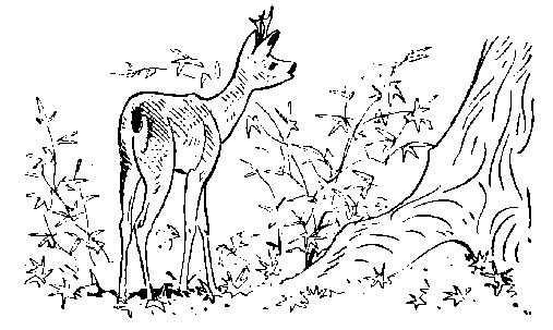 Окаменевшие волки i_036.png