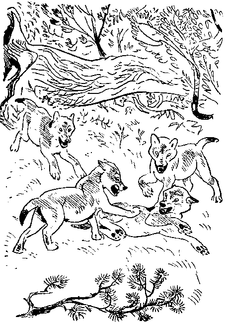 Окаменевшие волки i_009.png