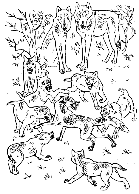 Окаменевшие волки i_016.png