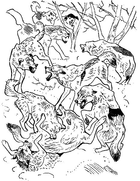 Окаменевшие волки i_018.png