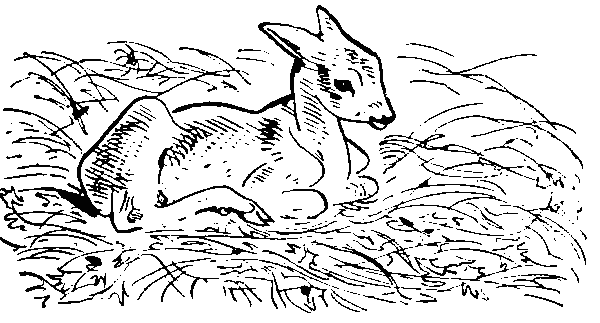 Окаменевшие волки i_019.png