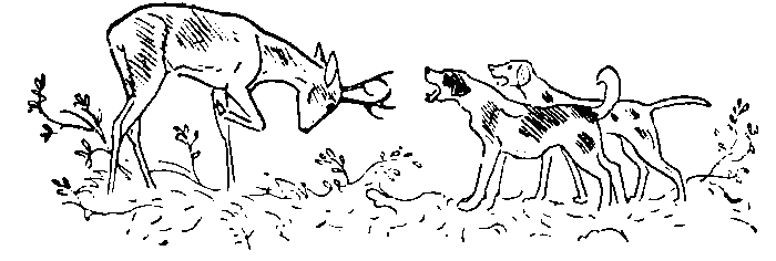 Окаменевшие волки i_020.png