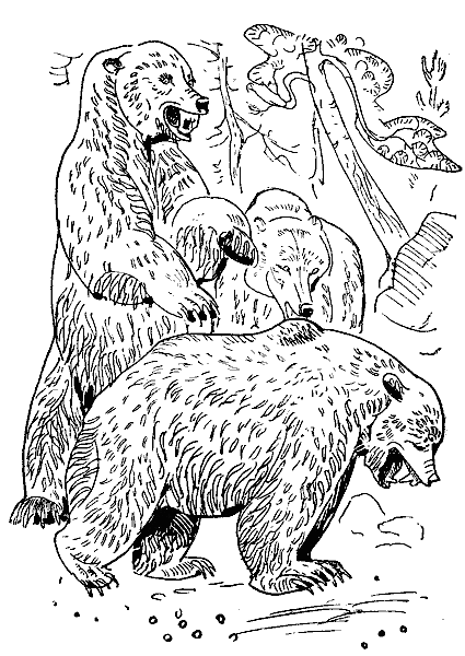Окаменевшие волки i_025.png