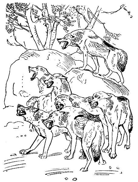 Окаменевшие волки i_026.png