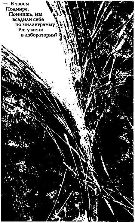 Миры Альфреда Бестера. Том 3 i_031.png