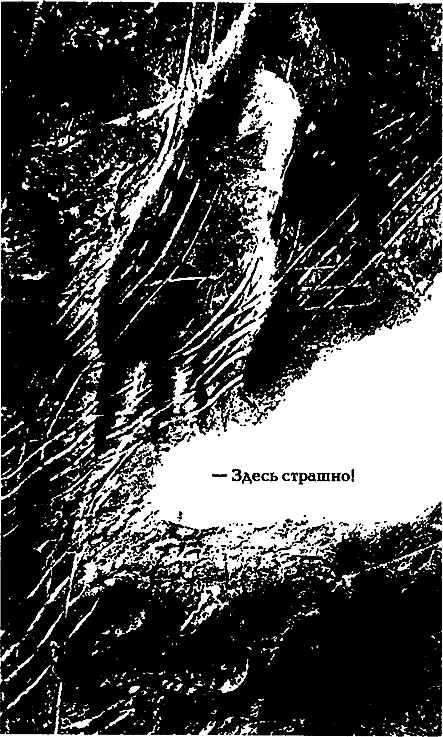 Миры Альфреда Бестера. Том 3 i_032.png
