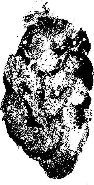 Миры Альфреда Бестера. Том 3 i_110.png