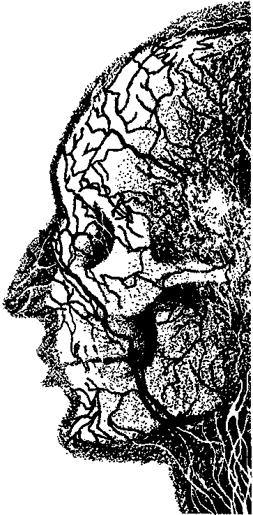 Миры Альфреда Бестера. Том 3 i_118.png