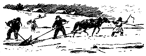 Золотая удочка pic_10.png
