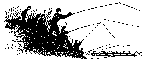 Золотая удочка pic_12.png