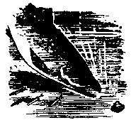 Золотая удочка pic_22.png
