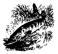 Золотая удочка pic_24.png