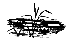 Золотая удочка pic_25.png