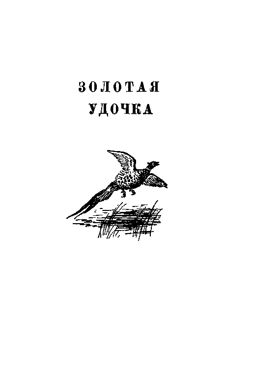 Золотая удочка pic_28.png