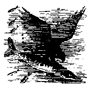 Золотая удочка pic_31.png