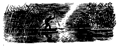 Золотая удочка pic_32.png