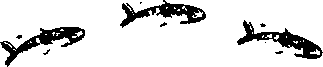 Правдивая история про девочку Эмили и ее хвост img02.png