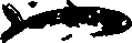 Правдивая история про девочку Эмили и ее хвост ryba.png