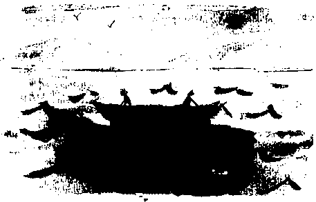 Правдивая история про девочку Эмили и ее хвост img13.png