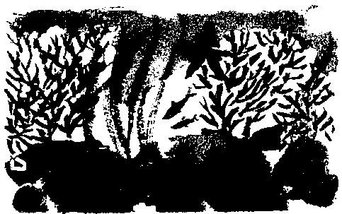 Правдивая история про девочку Эмили и ее хвост img15.png