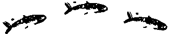 Правдивая история про девочку Эмили и ее хвост img19.png