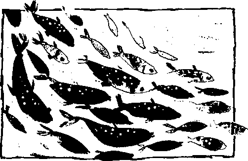 Правдивая история про девочку Эмили и ее хвост img06.png