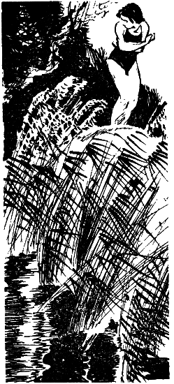 Зона действия i_003.png