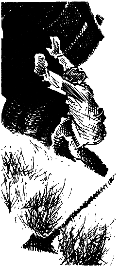 Зона действия i_006.png