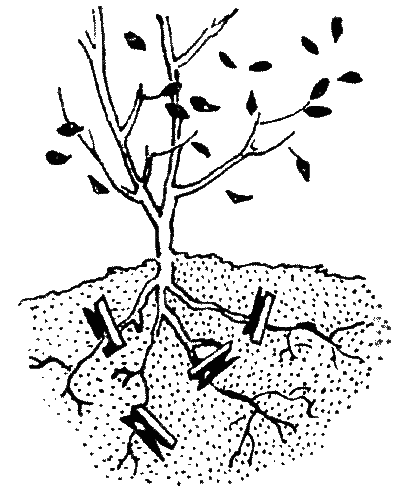 Радуга под окнами (с илл.) i_043.png