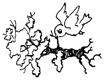 Радуга под окнами (с илл.) i_059.png