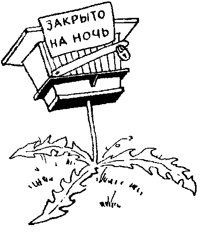 Радуга под окнами (с илл.) i_068.png