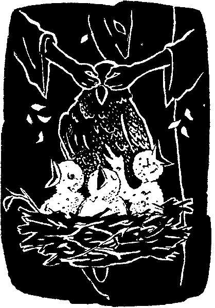 Радуга под окнами (с илл.) i_011.png