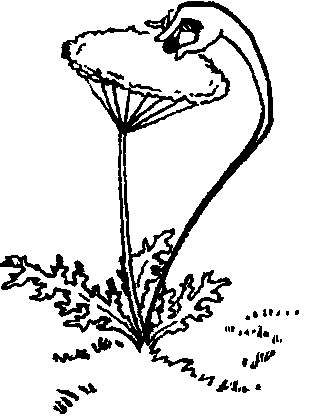 Радуга под окнами (с илл.) i_019.png